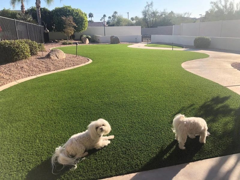 Synthetic Turf Maintenance services in Arlington, Virginia
